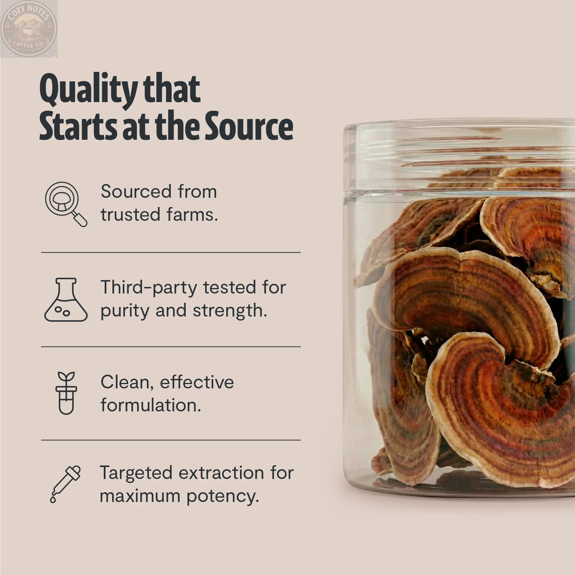 Organic Turkey Tail Mushroom Powder FreshCap Mushrooms