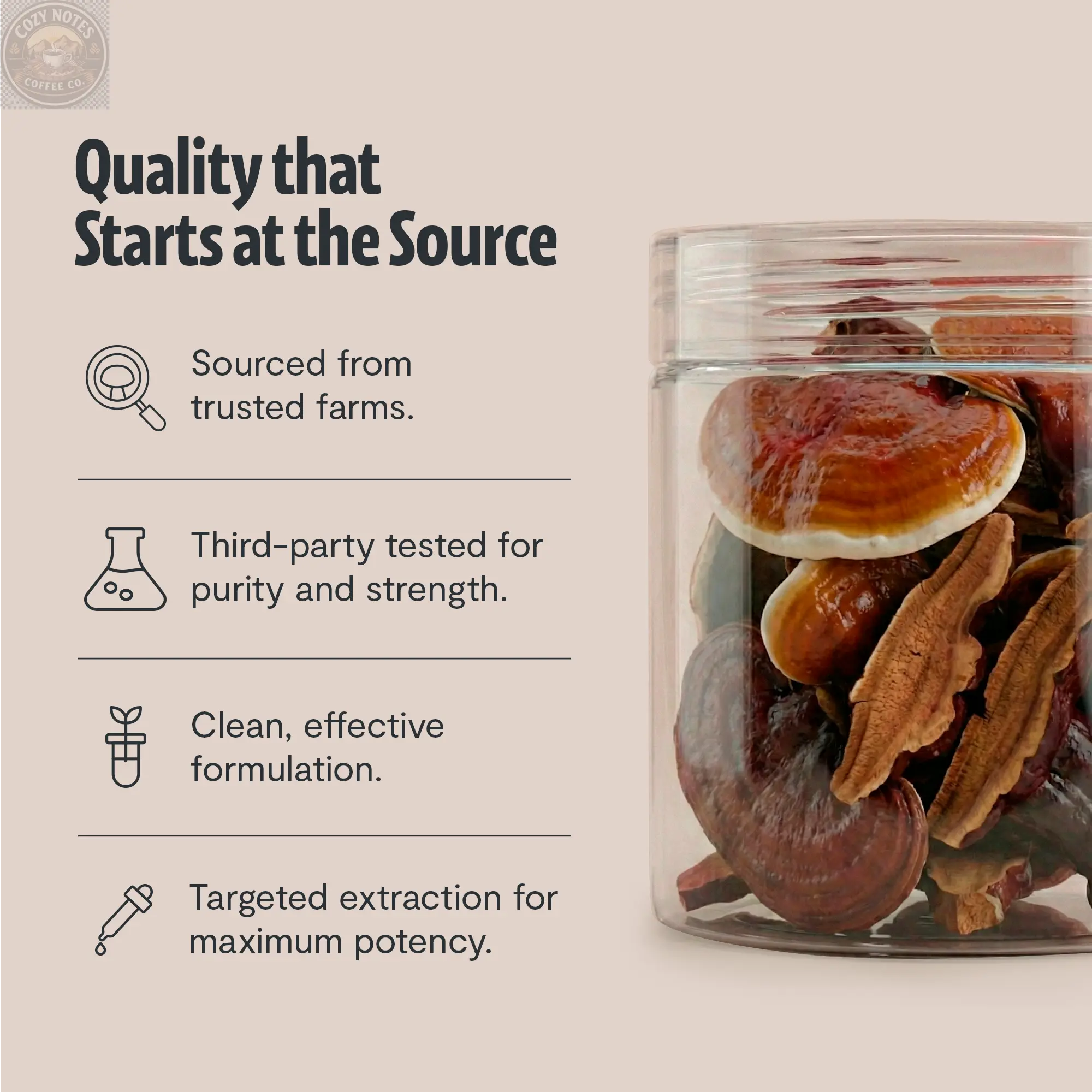 Organic Reishi Mushroom Powder FreshCap Mushrooms