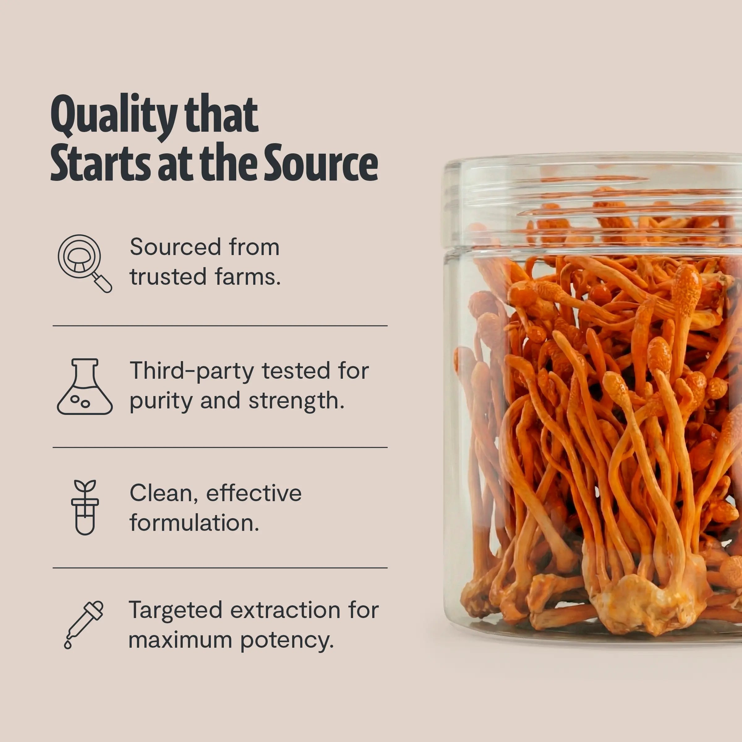 Cordyceps Mushroom Extract Powder FreshCap Mushrooms