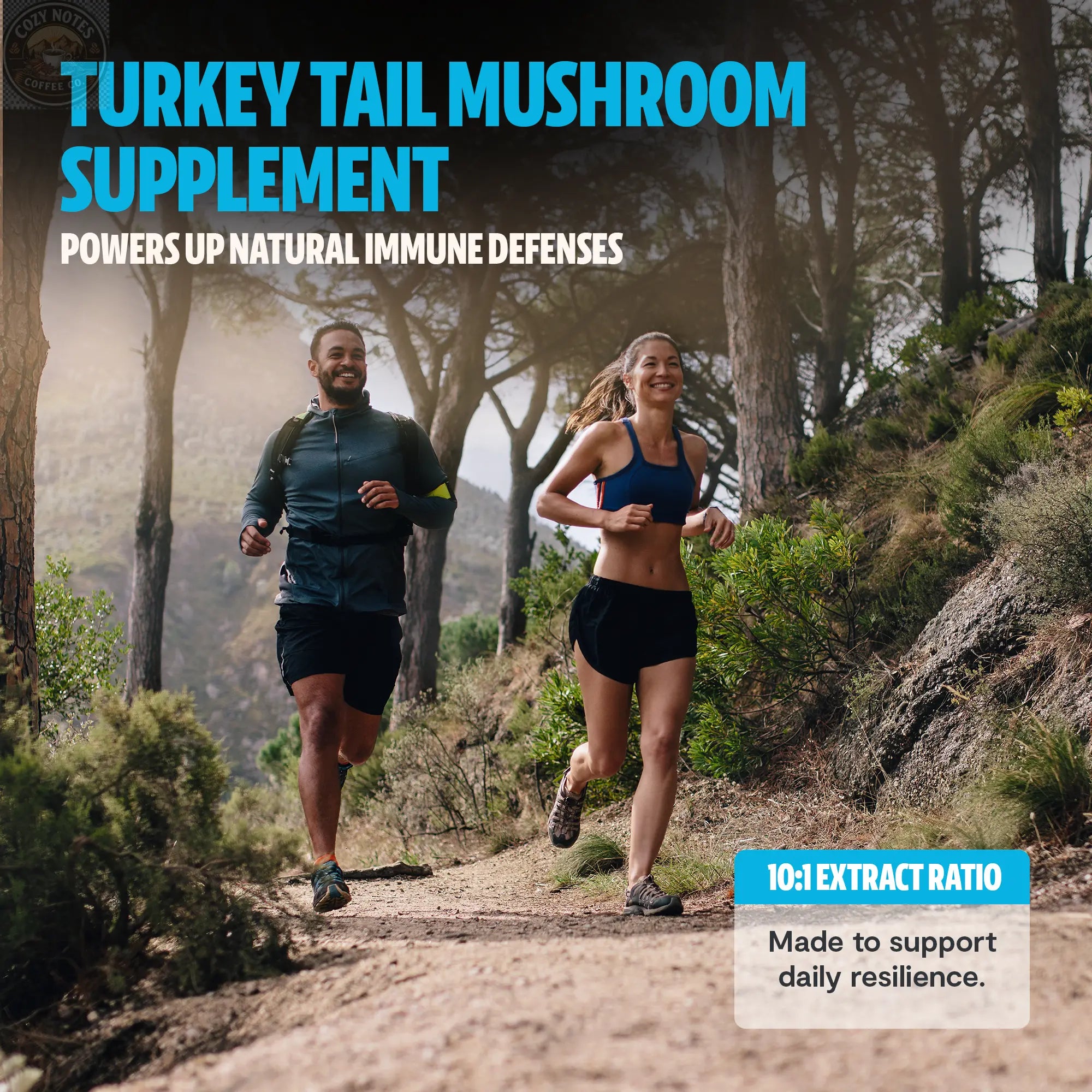 Organic Turkey Tail Mushroom Powder FreshCap Mushrooms