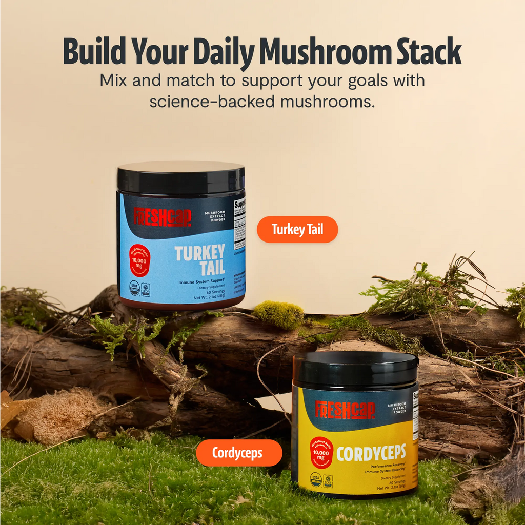 Organic Turkey Tail Mushroom Powder FreshCap Mushrooms