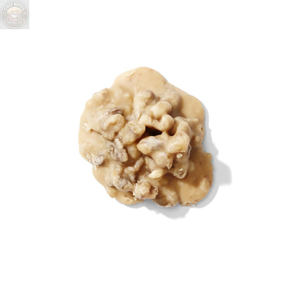 Creamy Walnut Praline 6-Count Louisiana Candy Company