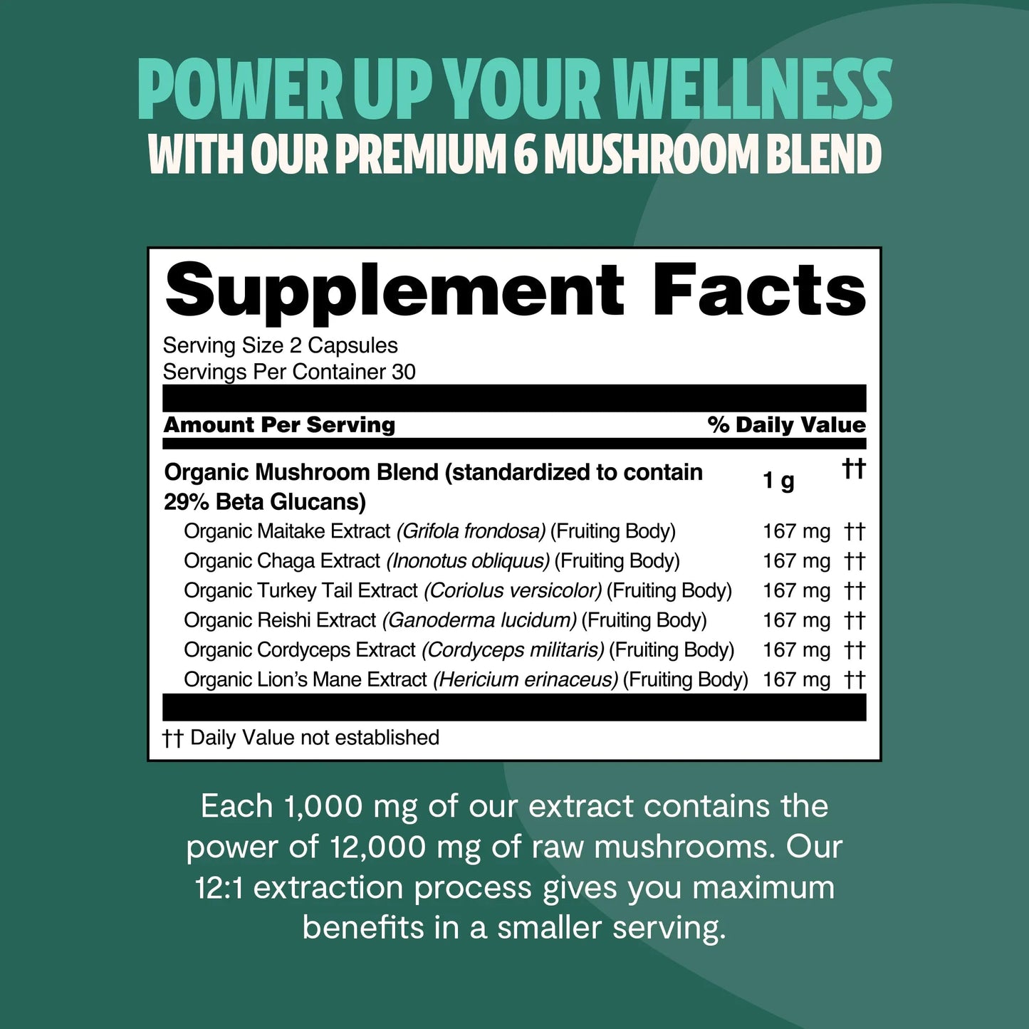 Organic Mushroom Complex Supplement Capsules - Cozy Notes Coffee Co