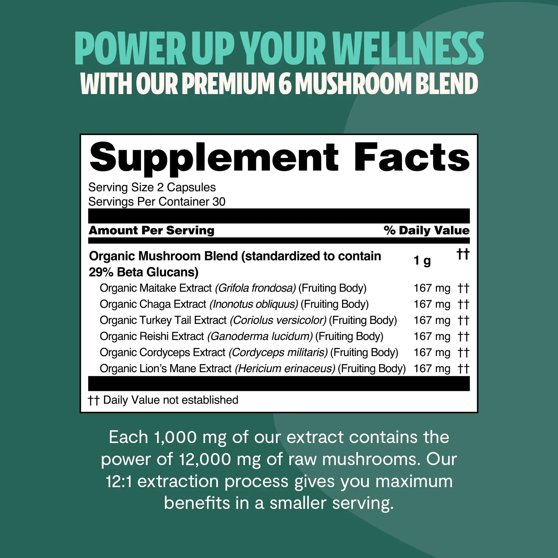 Organic Mushroom Complex Supplement Capsules - Cozy Notes Coffee Co