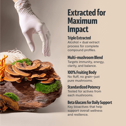 Organic Mushroom Complex Supplement Capsules - Cozy Notes Coffee Co
