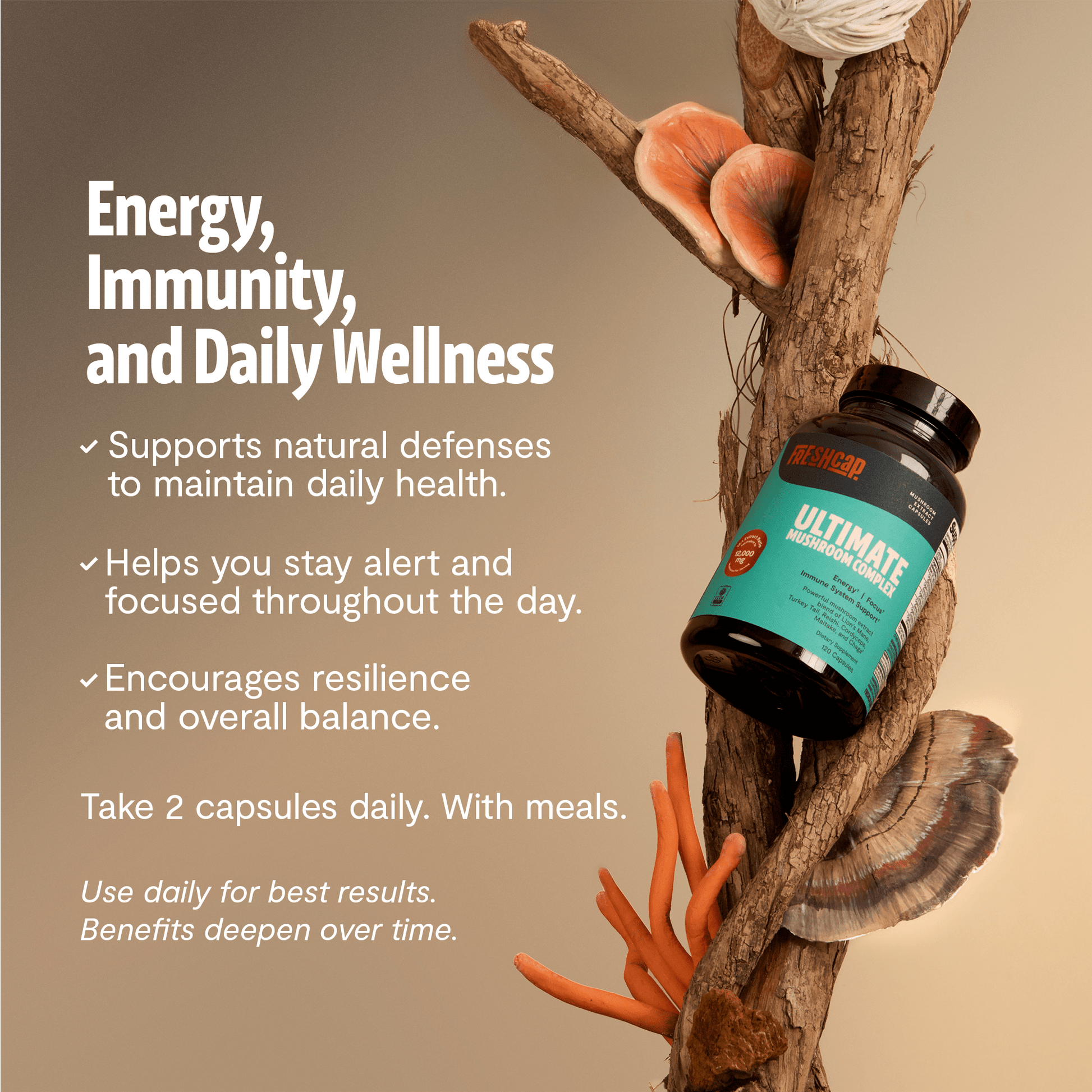 Organic Mushroom Complex Supplement Capsules - Cozy Notes Coffee Co