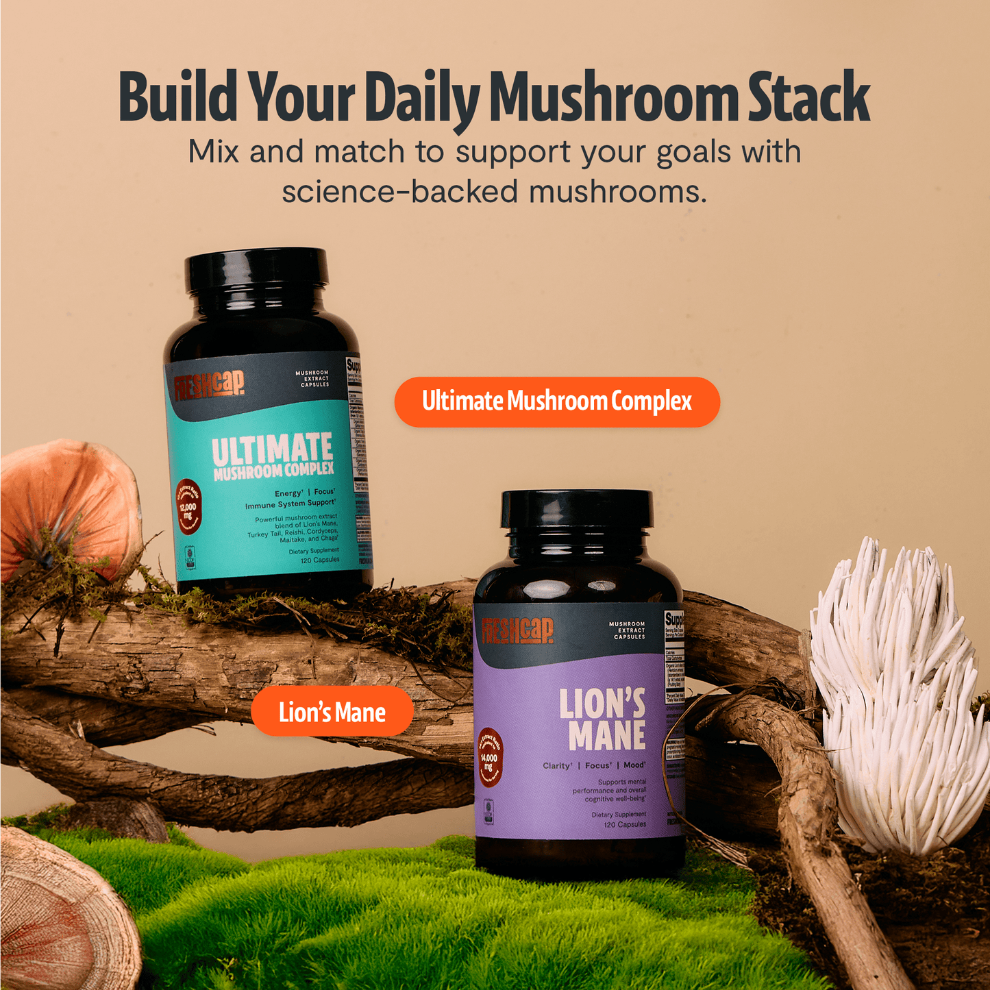 Organic Mushroom Complex Supplement Capsules - Cozy Notes Coffee Co