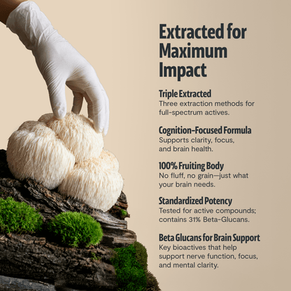 Organic Mushroom Complex Supplement Capsules - Cozy Notes Coffee Co