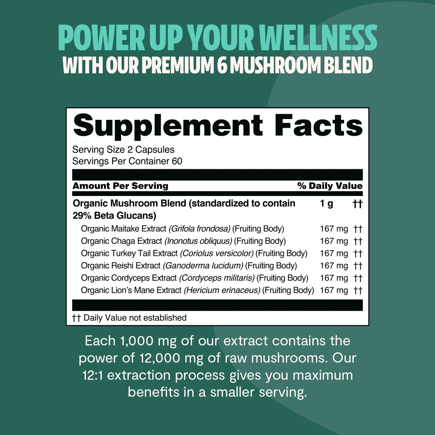 Organic Mushroom Complex Supplement Capsules - Cozy Notes Coffee Co
