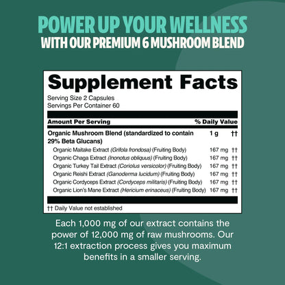 Organic Mushroom Complex Supplement Capsules - Cozy Notes Coffee Co
