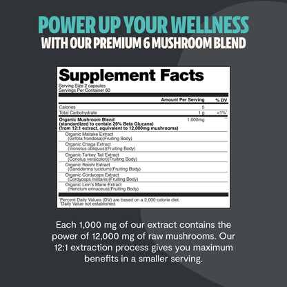 Organic Mushroom Complex Supplement Capsules - Cozy Notes Coffee Co