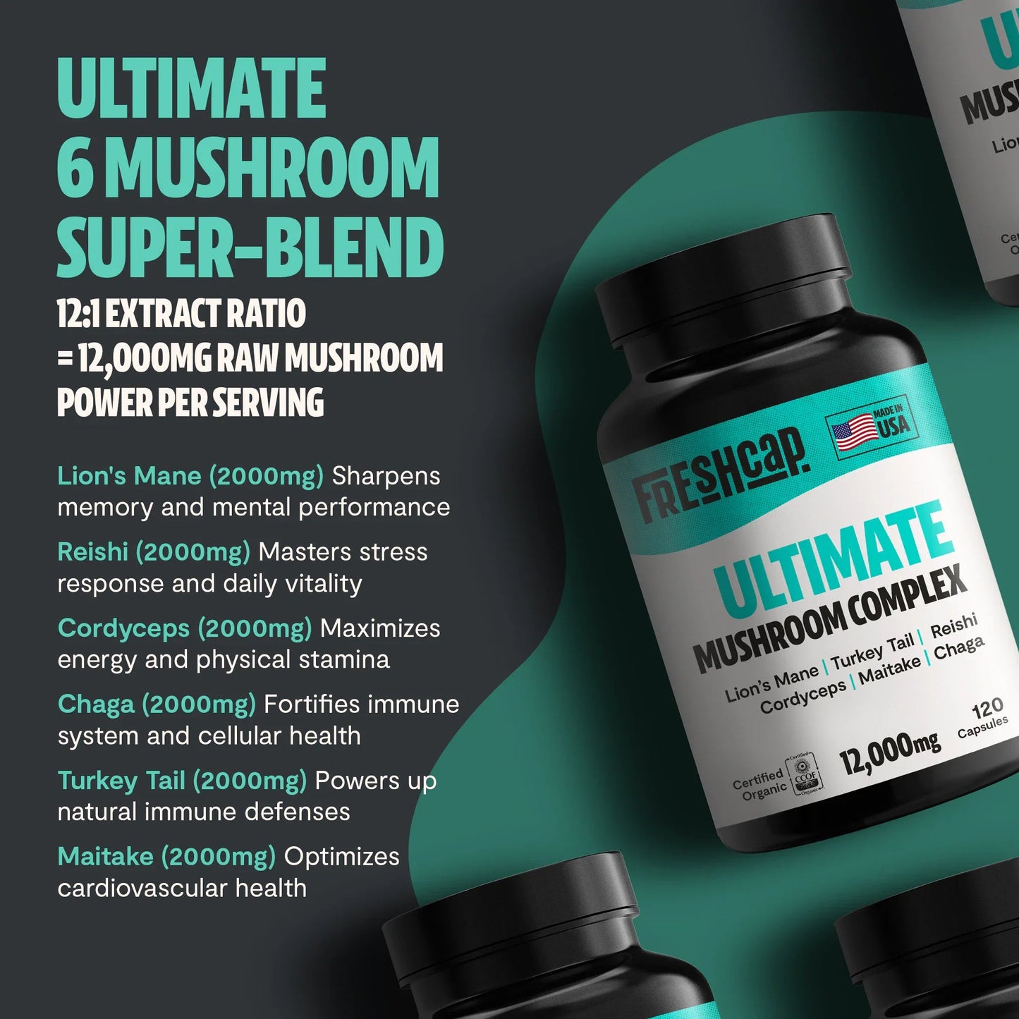 Organic Mushroom Complex Supplement Capsules - Cozy Notes Coffee Co