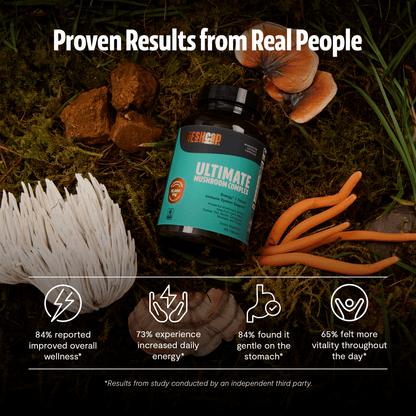 Organic Mushroom Complex Supplement Capsules - Cozy Notes Coffee Co