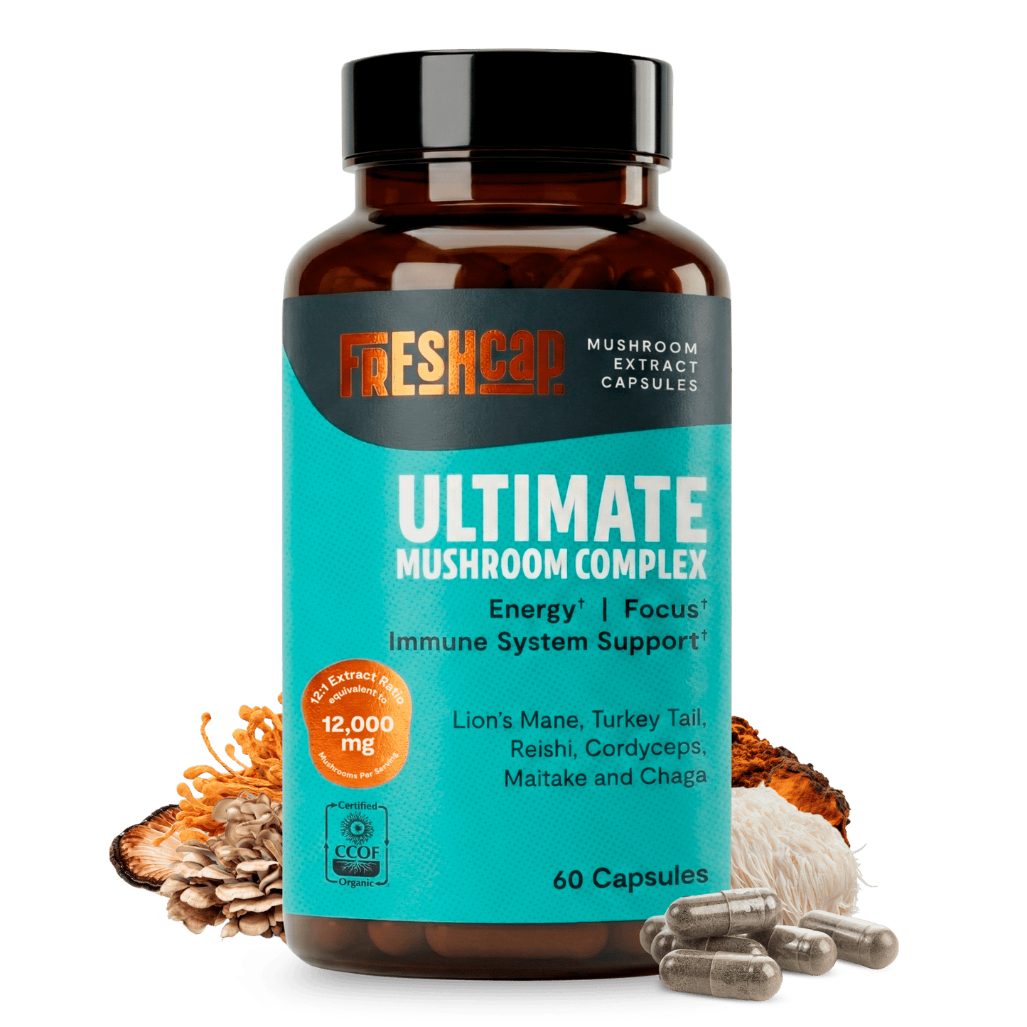 Organic Mushroom Complex Supplement Capsules - Cozy Notes Coffee Co