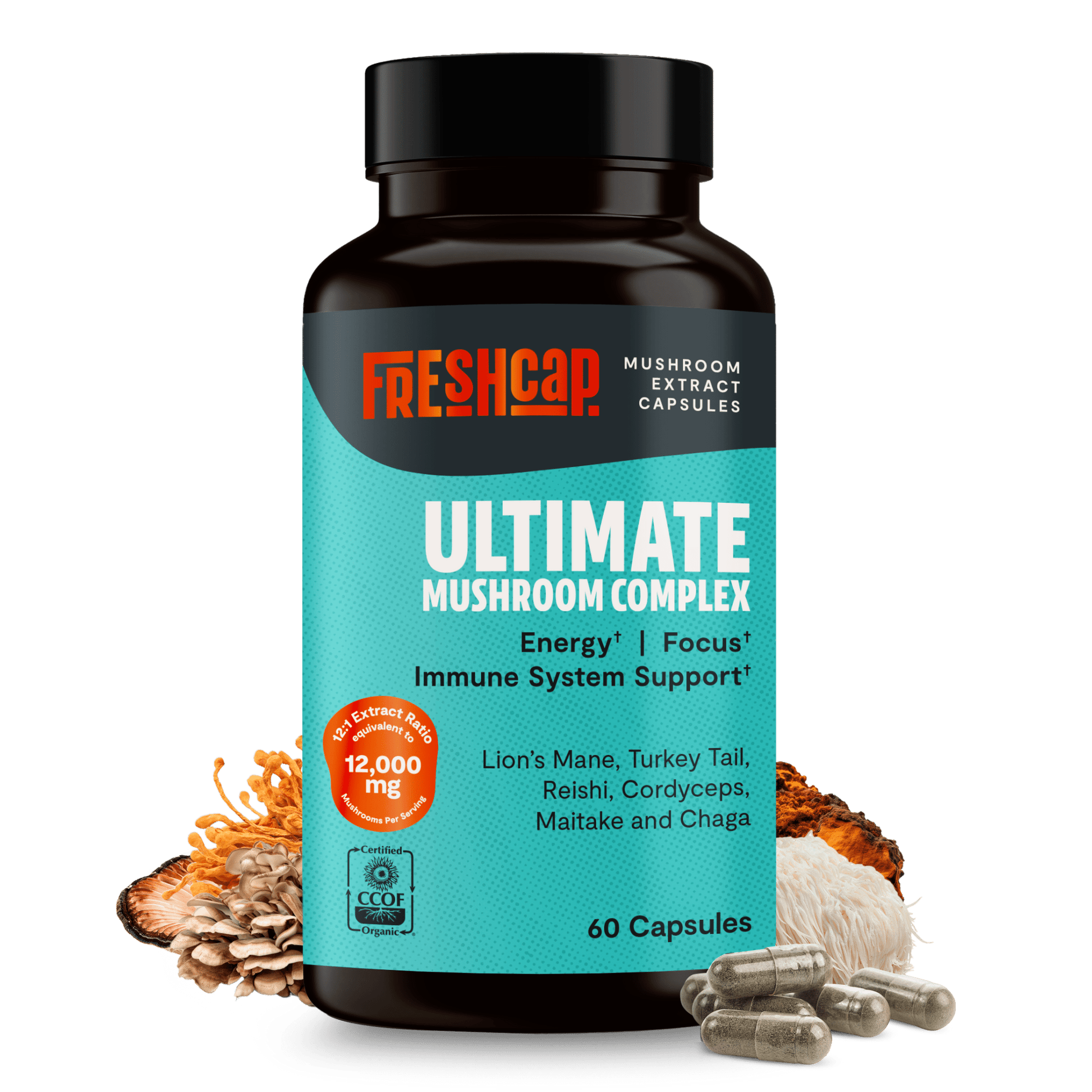 Organic Mushroom Complex Supplement Capsules - Cozy Notes Coffee Co
