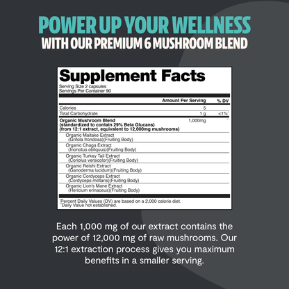 Organic Mushroom Complex Supplement Capsules - Cozy Notes Coffee Co