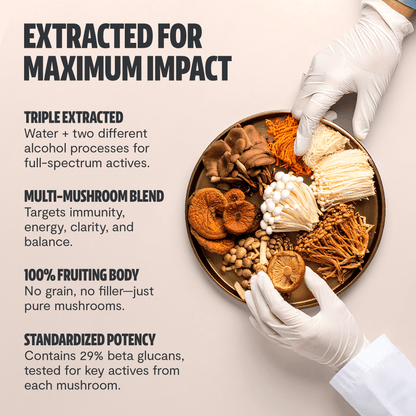 Organic Mushroom Complex Supplement Capsules - Cozy Notes Coffee Co