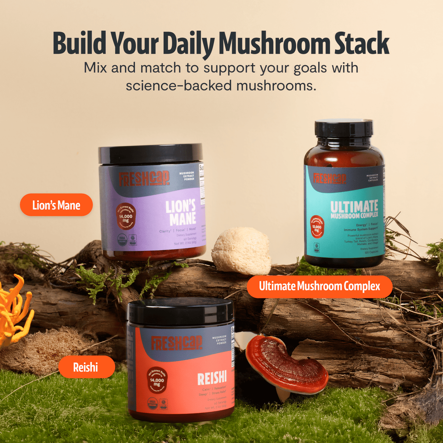 Organic Mushroom Complex Supplement Capsules - Cozy Notes Coffee Co