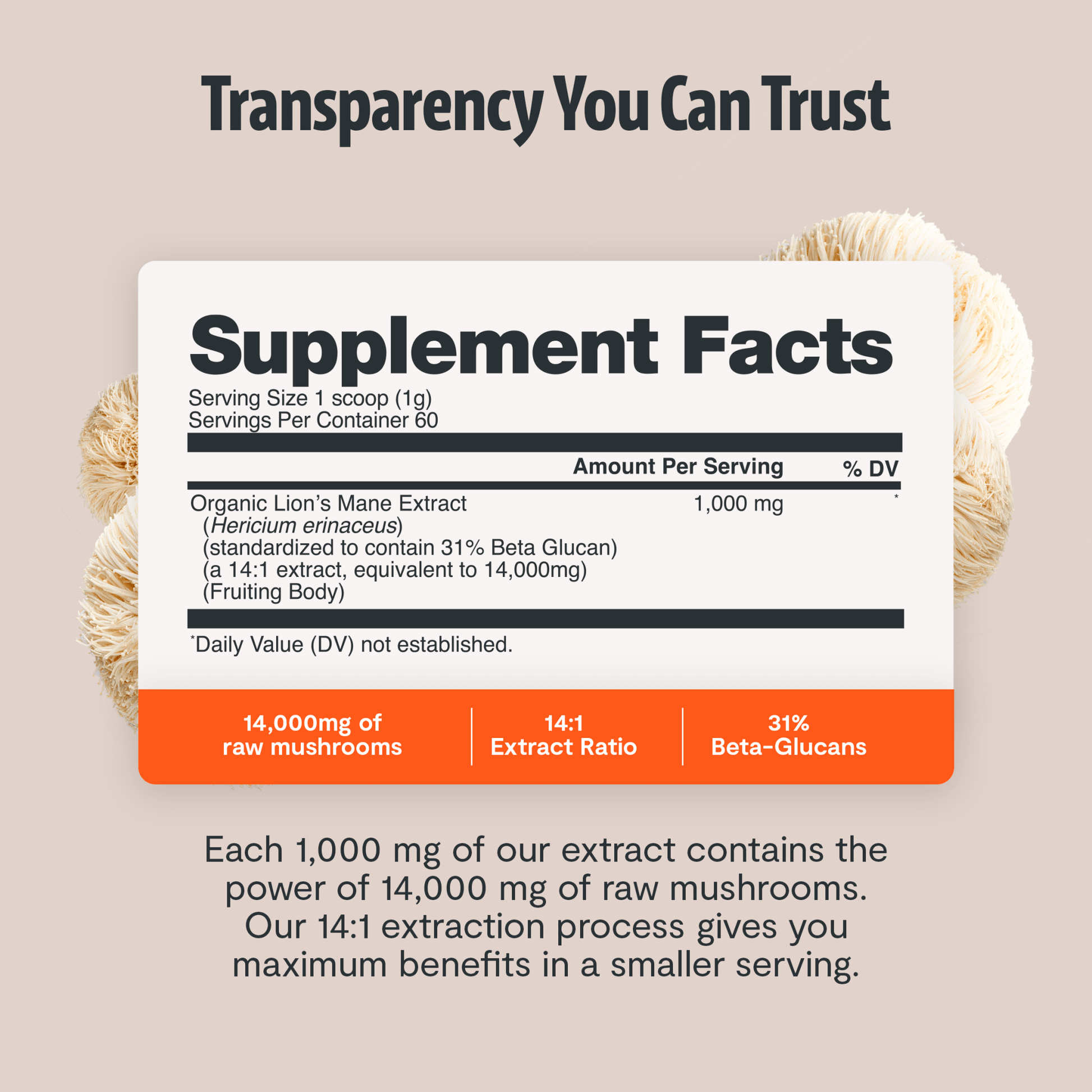 Organic Mushroom Complex Supplement Capsules - Cozy Notes Coffee Co