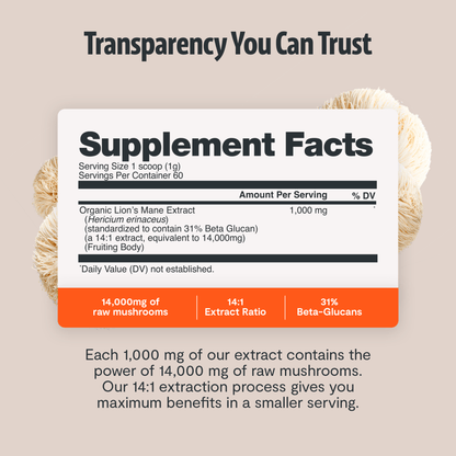 Organic Mushroom Complex Supplement Capsules - Cozy Notes Coffee Co
