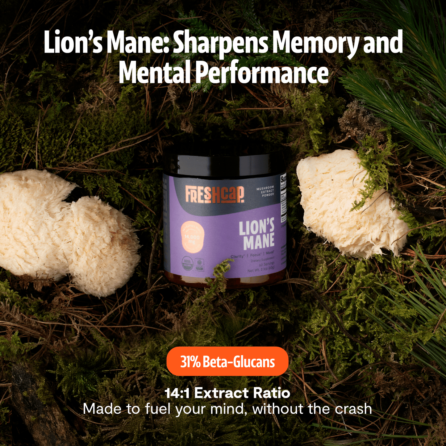 Organic Mushroom Complex Supplement Capsules - Cozy Notes Coffee Co
