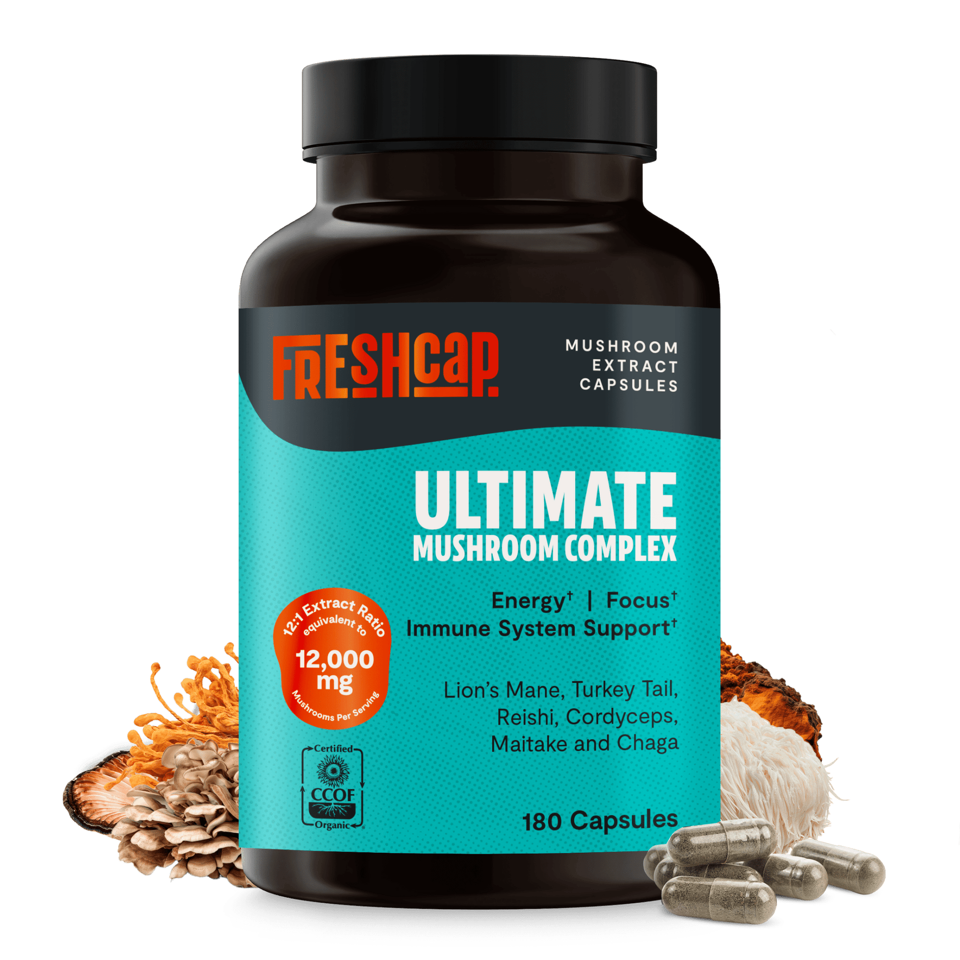 Organic Mushroom Complex Supplement Capsules - Cozy Notes Coffee Co