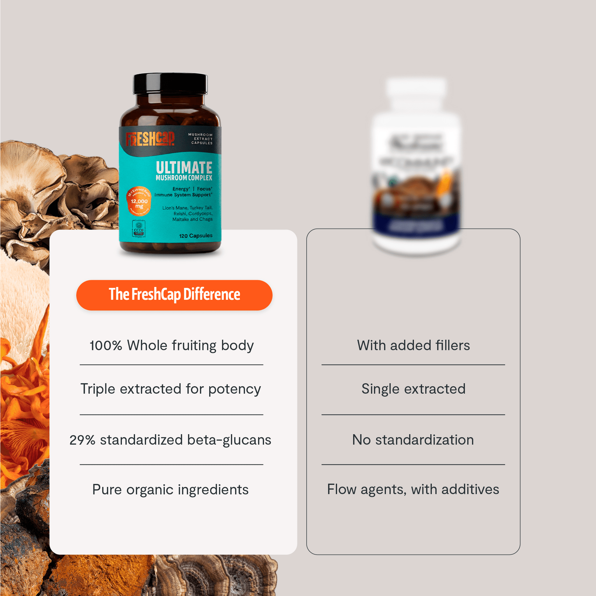 Organic Mushroom Complex Supplement Capsules - Cozy Notes Coffee Co