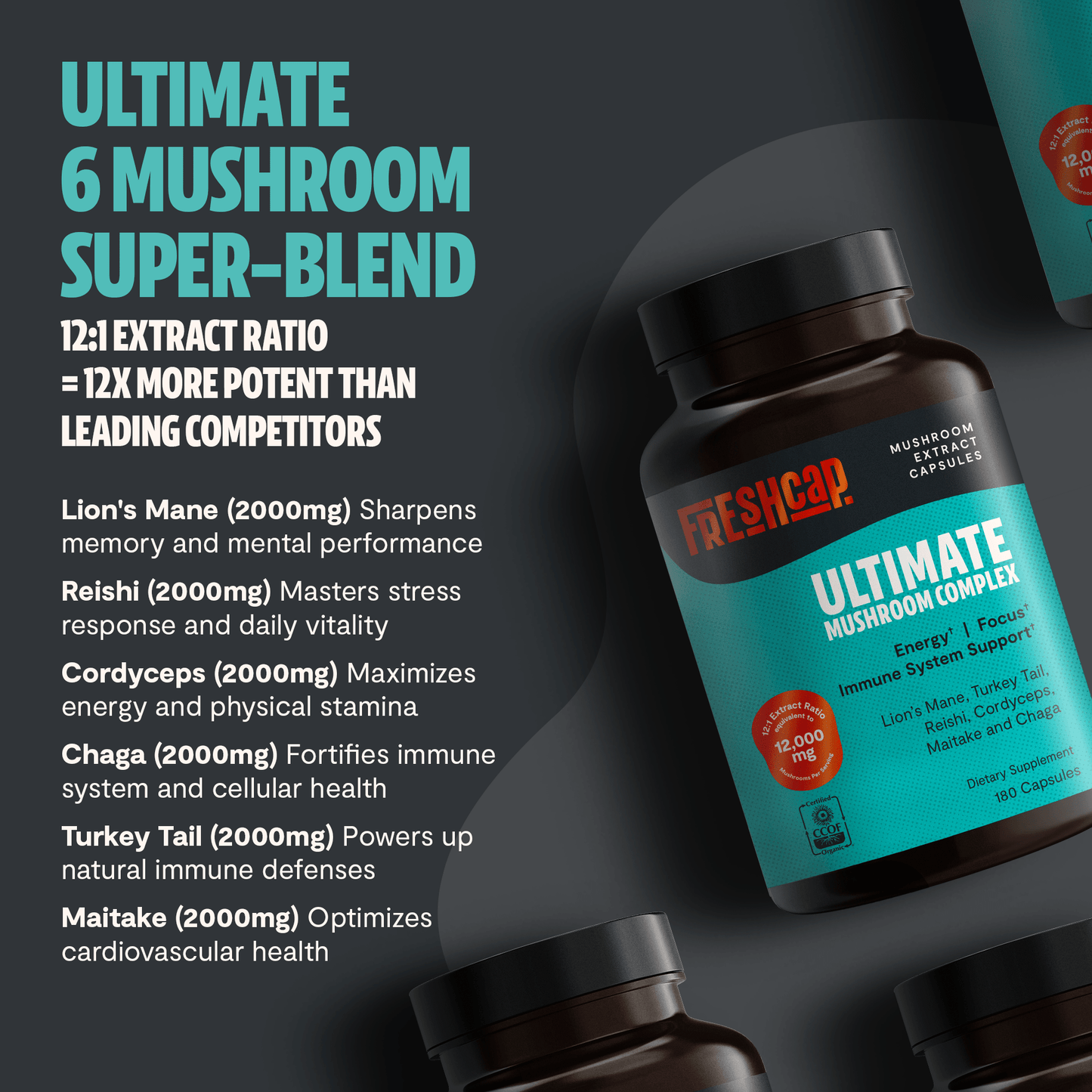 Organic Mushroom Complex Supplement Capsules - Cozy Notes Coffee Co