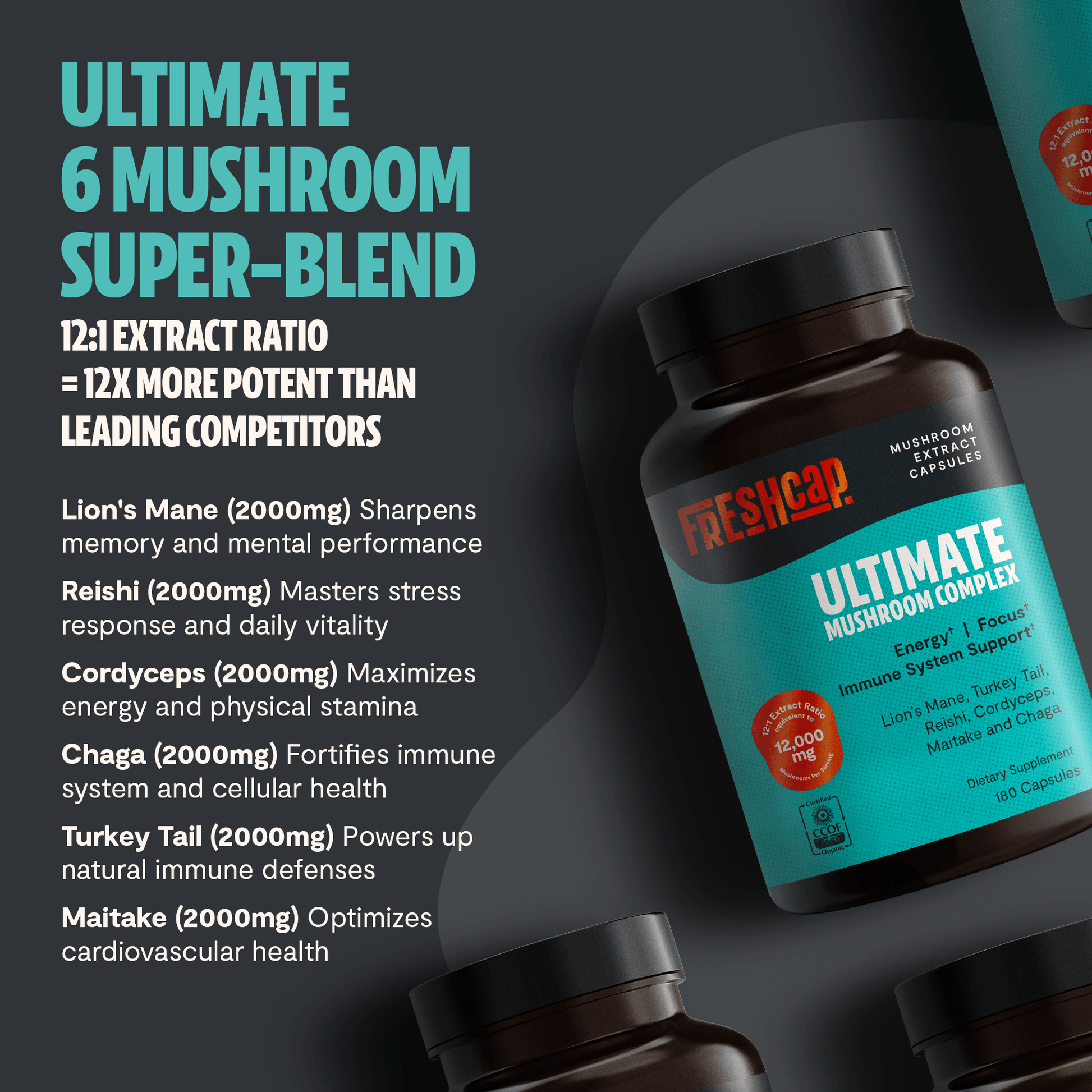 Organic Mushroom Complex Supplement Capsules - Cozy Notes Coffee Co