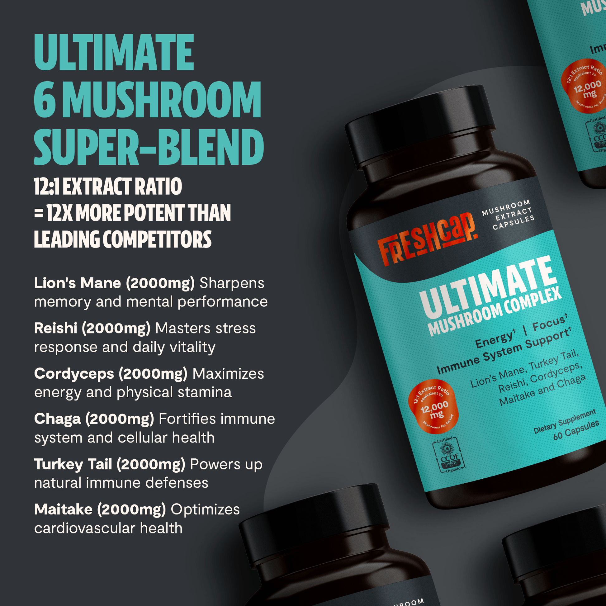 Organic Mushroom Complex Supplement Capsules - Cozy Notes Coffee Co