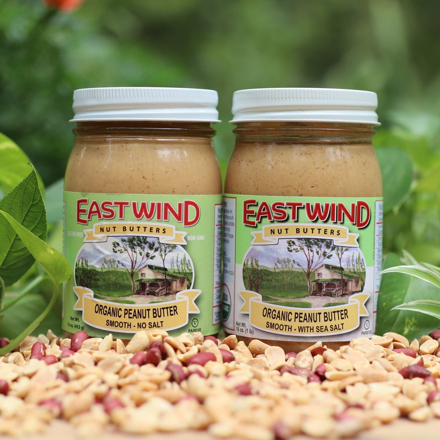 Organic Valencia Peanut Butter- 2 Ingredients or less - Cozy Notes Coffee Co