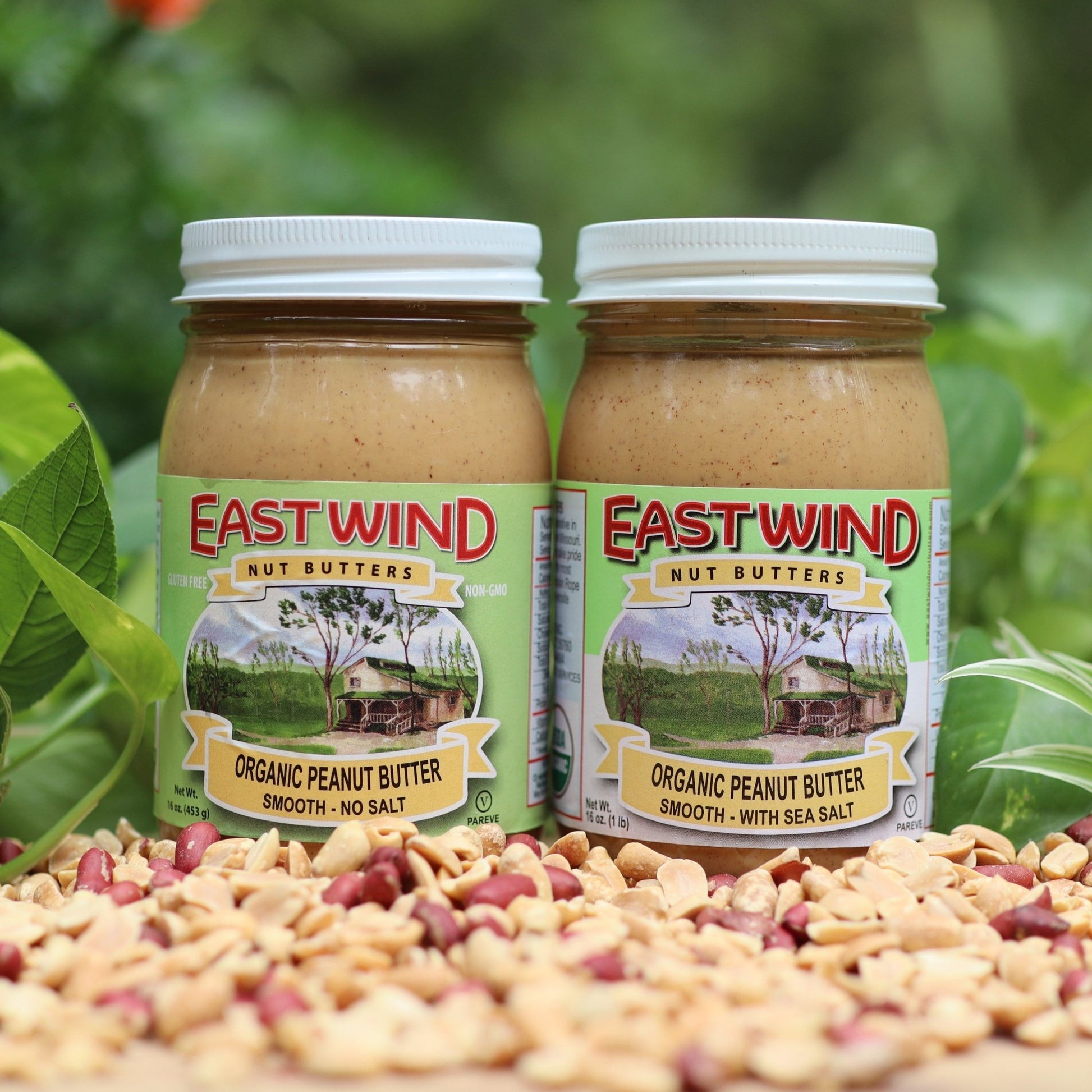 Organic Valencia Peanut Butter- 2 Ingredients or less - Cozy Notes Coffee Co
