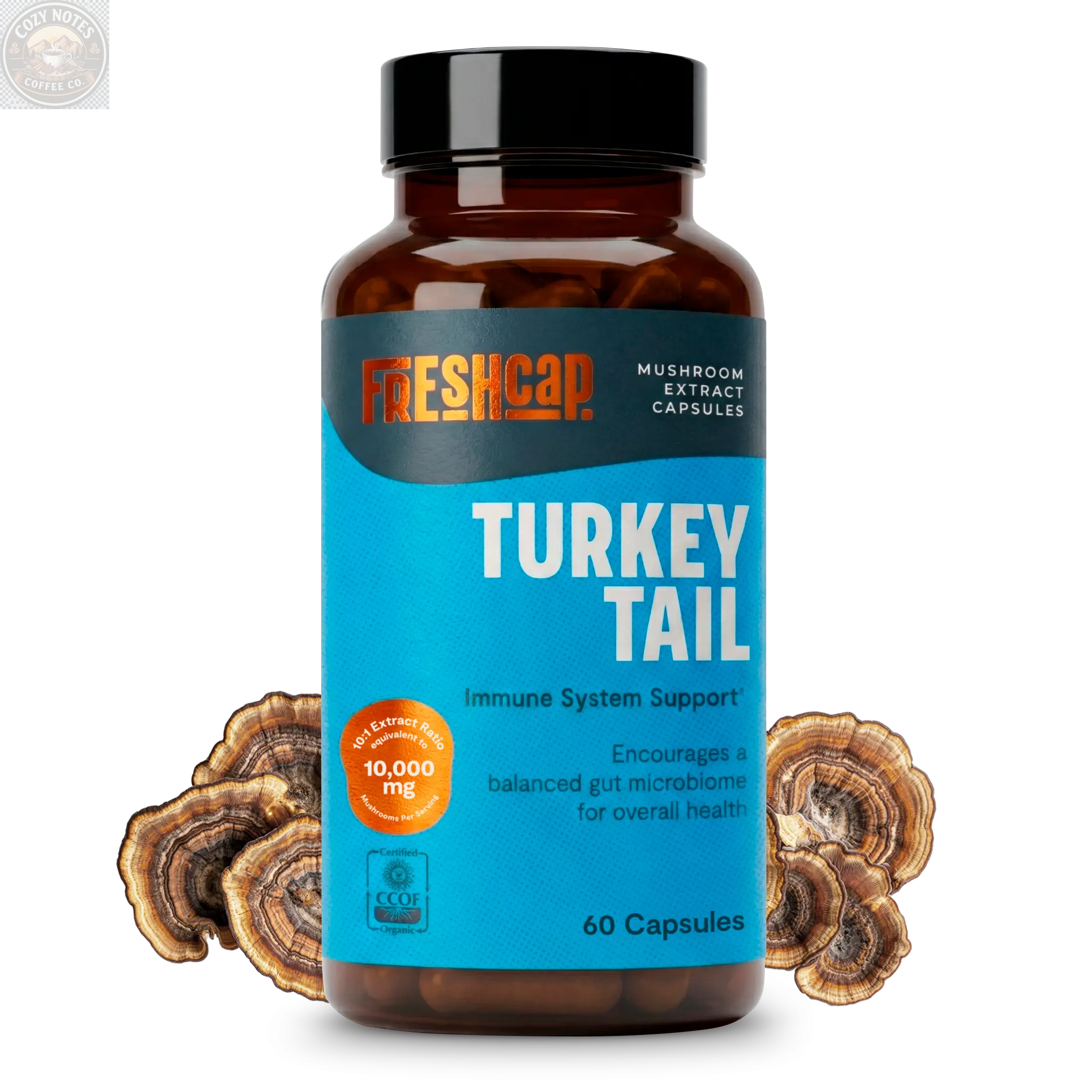 Organic Turkey Tail Mushroom Capsules FreshCap Mushrooms