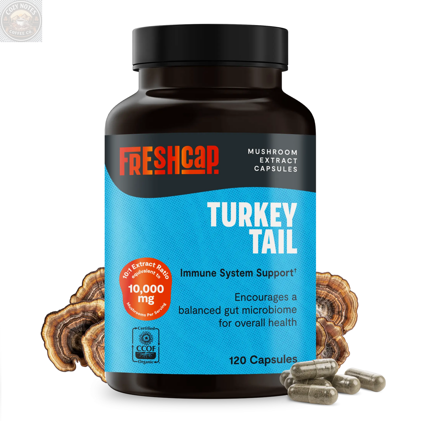 Organic Turkey Tail Mushroom Capsules FreshCap Mushrooms