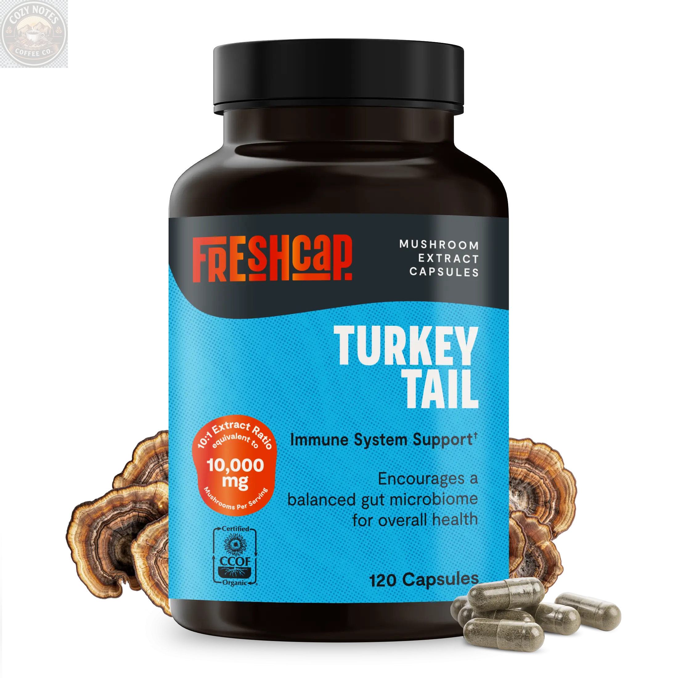Organic Turkey Tail Mushroom Capsules FreshCap Mushrooms