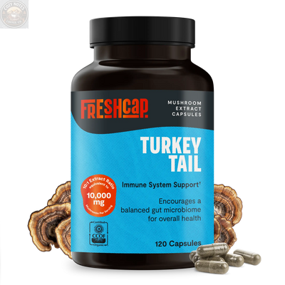 Organic Turkey Tail Mushroom Capsules FreshCap Mushrooms