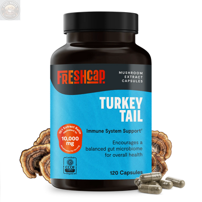 Organic Turkey Tail Mushroom Capsules FreshCap Mushrooms