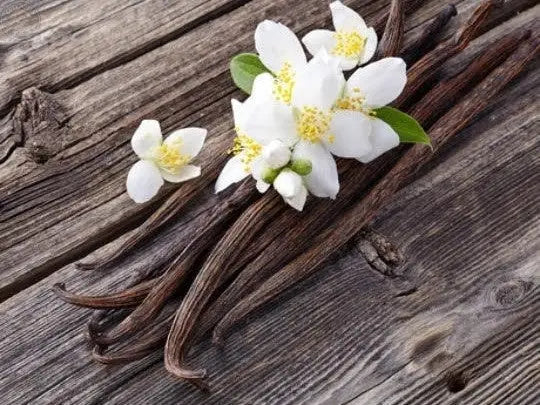 Vanilla Bean Infused Honey Scott Honey Farms & Organics