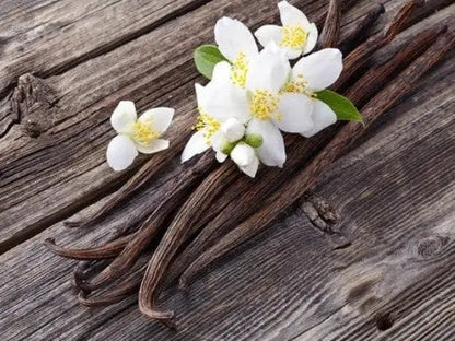 Vanilla Bean Infused Honey Scott Honey Farms & Organics