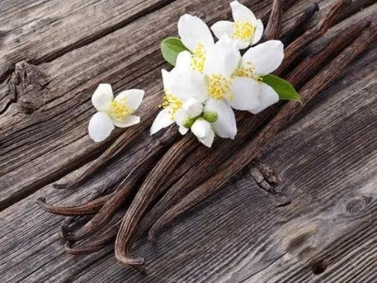 Vanilla Bean Infused Honey Scott Honey Farms & Organics